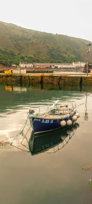 The Cottage By The Sea, Scotland Burnmouth Ngoại thất bức ảnh